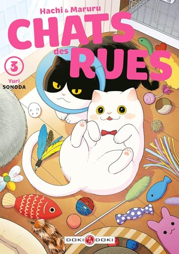 CHATS DES RUES