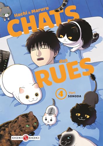 CHATS DES RUES