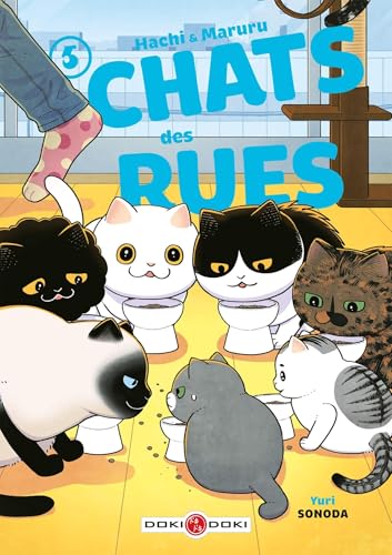 CHATS DES RUES